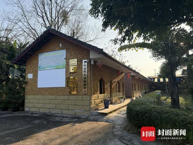 峨眉山上吃败仗“受伤猴”去了哪儿？“猴王疗养院”穿着花衣烤火